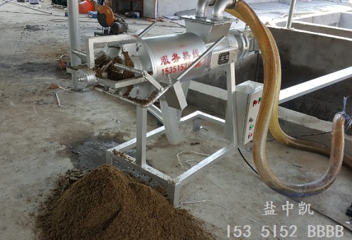 榴莲视频免费下载