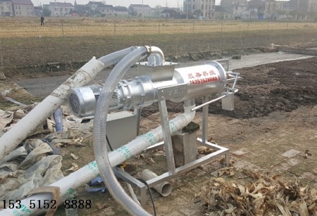 雞糞榴莲视频在线入口